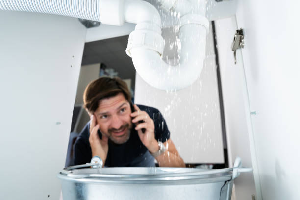 Best Faucet Repair  in Zephyrhills West, FL