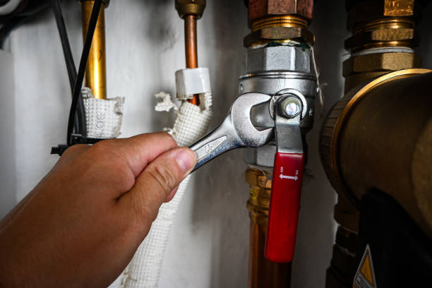 Best Shower Repair Services  in Zephyrhills West, FL
